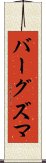 バーグズマ Scroll