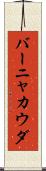 バーニャ・カウダ Scroll