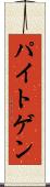 パイトゲン Scroll