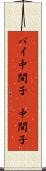 パイ中間子 Scroll