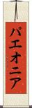 パエオニア Scroll