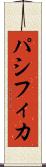 パシフィカ Scroll