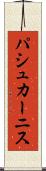 パシュカーニス Scroll