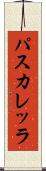 パスカレッラ Scroll