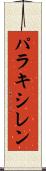 パラキシレン Scroll