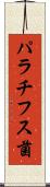 パラチフス菌 Scroll