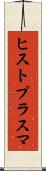 ヒストプラスマ Scroll