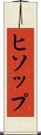 ヒソップ Scroll