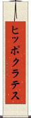 ヒッポクラテス Scroll