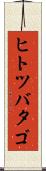 ヒトツバタゴ Scroll