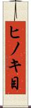 ヒノキ目 Scroll