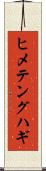 ヒメテングハギ Scroll
