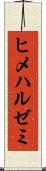 ヒメハルゼミ Scroll