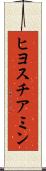 ヒヨスチアミン Scroll