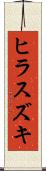 ヒラスズキ Scroll
