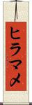 ヒラマメ Scroll