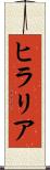 ヒラリア Scroll