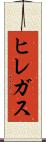ヒレガス Scroll