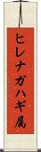 ヒレナガハギ属 Scroll
