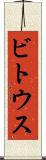 ビトウス Scroll