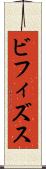 ビフィズス Scroll