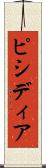 ピシディア Scroll