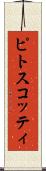 ピトスコッティ Scroll