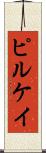 ピルケイ Scroll