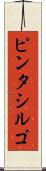 ピンタシルゴ Scroll