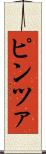 ピンツァ Scroll