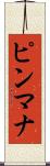 ピンマナ Scroll