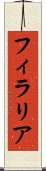 フィラリア Scroll