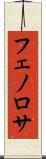 フェノロサ Scroll