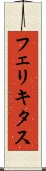 フェリキタス Scroll