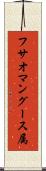 フサオマングース属 Scroll