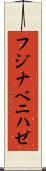 フジナベニハゼ Scroll