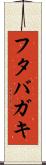 フタバガキ Scroll