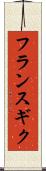 フランスギク Scroll