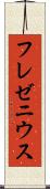 フレゼニウス Scroll