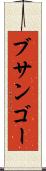 ブサンゴー Scroll