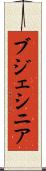 ブジェシニア Scroll