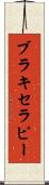 ブラキセラピー Scroll