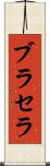 ブラセラ Scroll