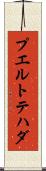 プエルトテハダ Scroll