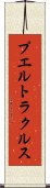 プエルトラクルス Scroll