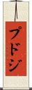 プドジ Scroll