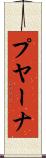 プヤーナ Scroll