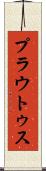 プラウトゥス Scroll