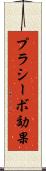 プラシーボ効果 Scroll