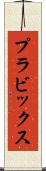 プラビックス Scroll